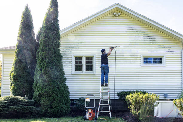 Trusted Mascotte, FL Pressure Washing Services Experts