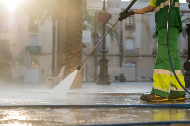 Best Roof Washing  in Mascotte, FL